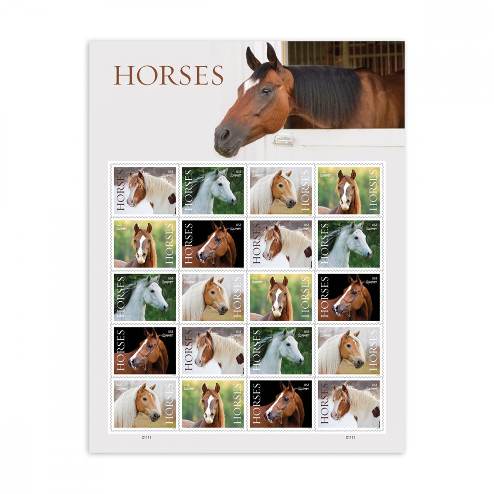 2024 Horses Stamps forever stamps