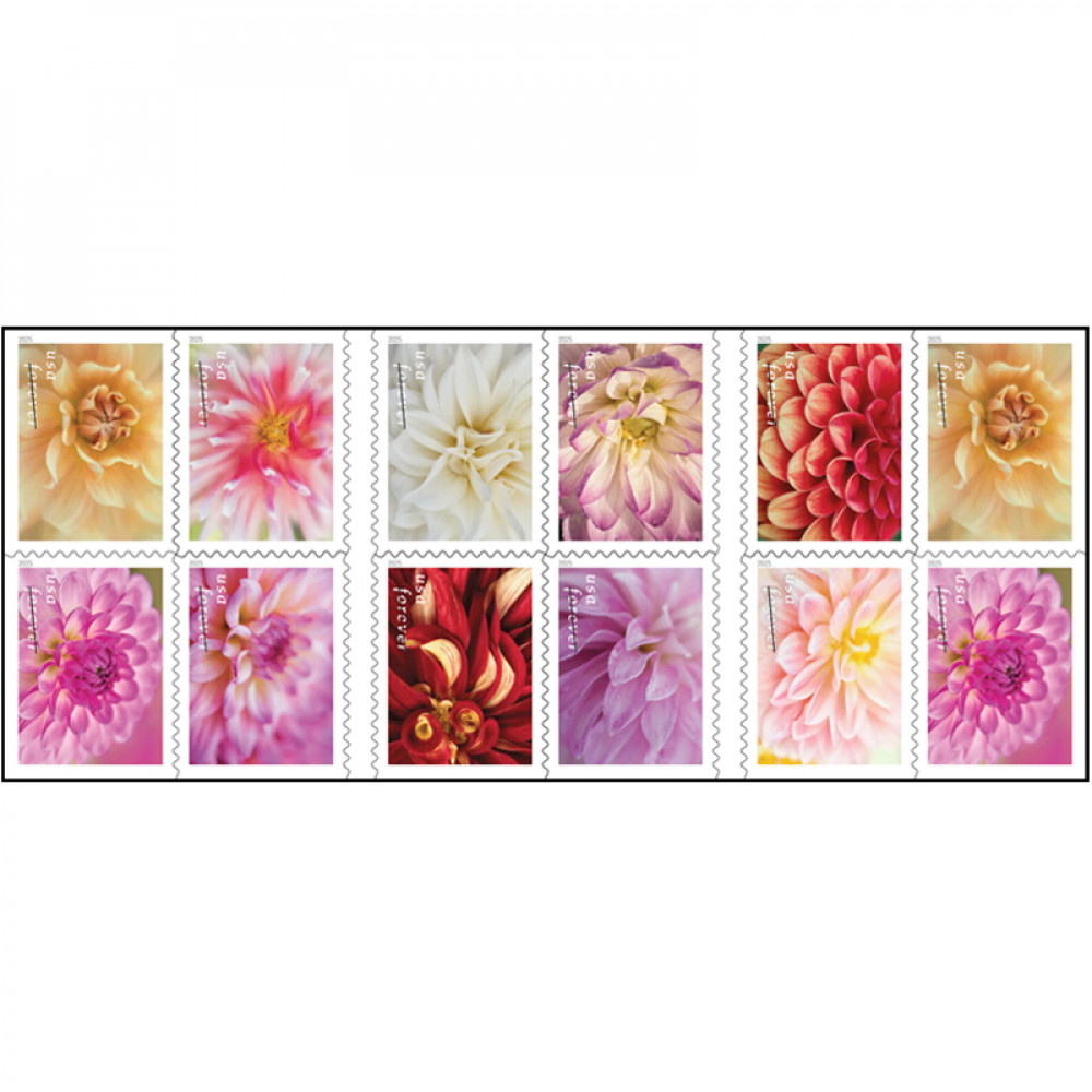 2025 Dahlias Stamps Book of 20