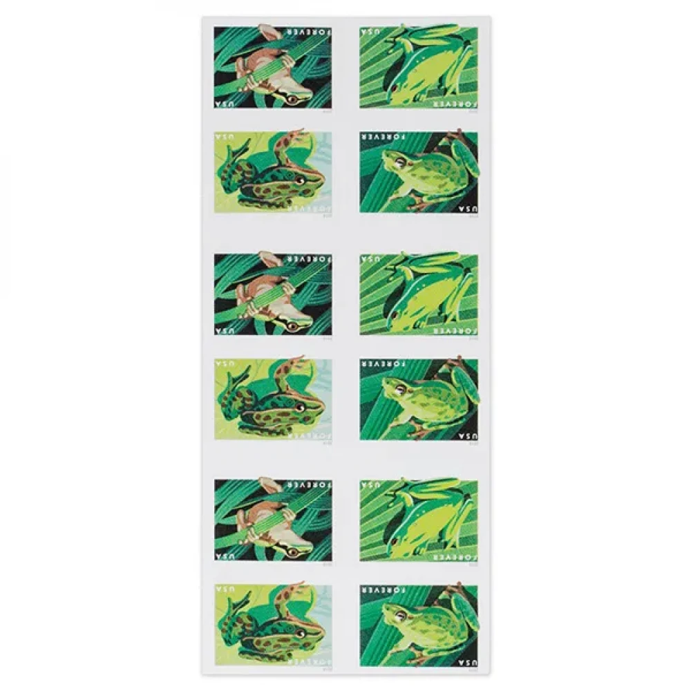 (2019) USPS Frogs Forever First Class Postage Stamps